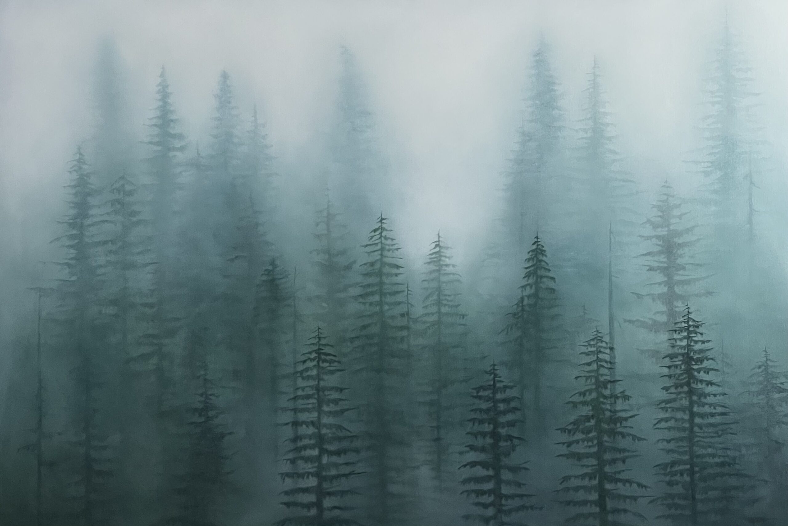 Foresta dei Vìolini